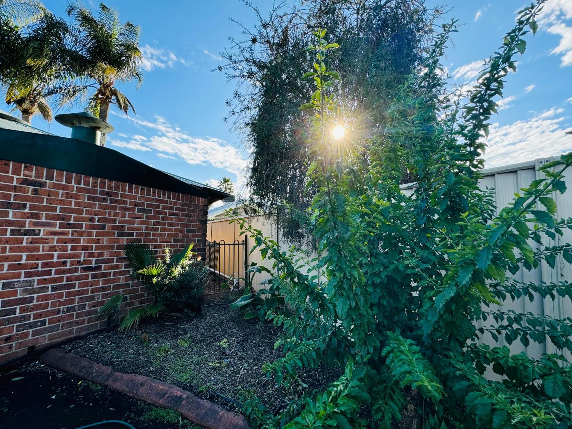 Town And Country Motor Inn Tamworth Bagian luar foto